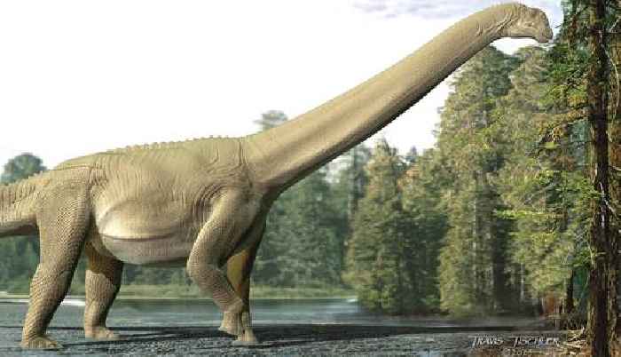 Paleontologists dig through fossilized dino guts to see what’s inside