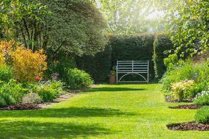 Lawns will grow green and lush if you avoid biggest 'silent killer' of grass