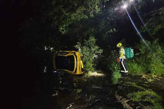 Miracle Dartmoor escape after car plunges 50 feet off road into woods