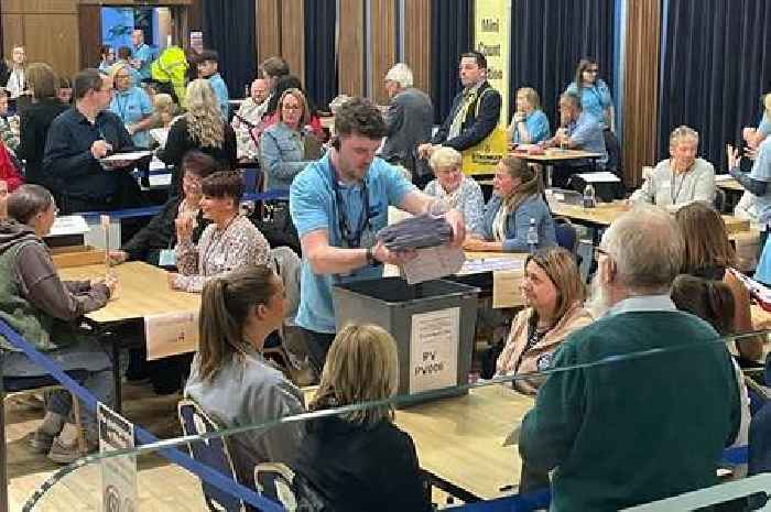 Hamilton by-election: Contrasting fortunes for parties who didn't win