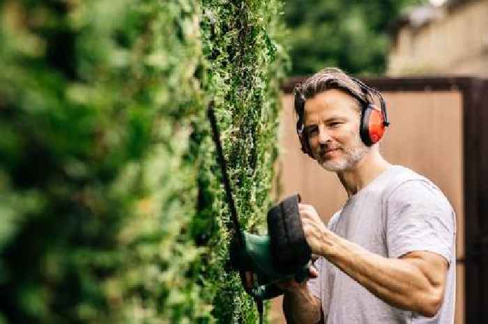 June warning to gardeners cutting their hedge this month