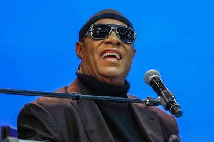 Council leader defends Stevie Wonder and Alanis Morissette gigs in Cardiff park