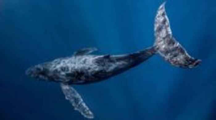 Oceans cannot become 'wild west', warns UN chief