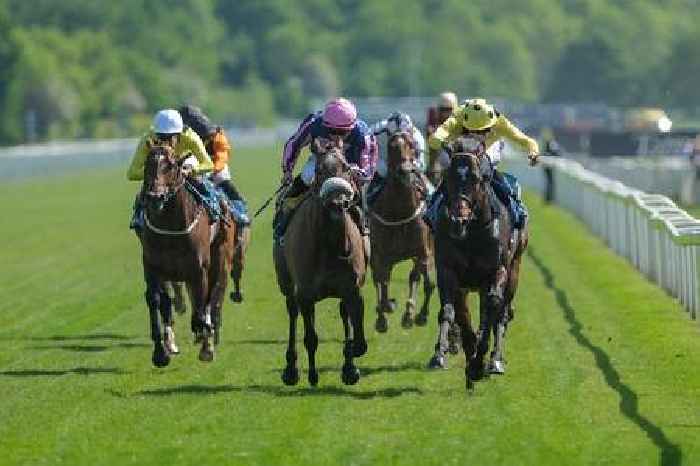 Dig up some Royal Ascot Gold with Big Mojo and Flora