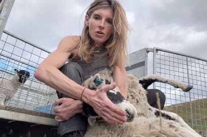 Our Yorkshire Farm's Amanda Owen announces huge career move away from Channel 5 show