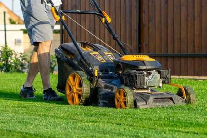 Common lawn mistakes to avoid for greener grass in the summer months