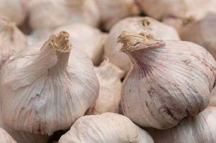 Gardeners told to put garlic in watering cans this week to tackle common pest