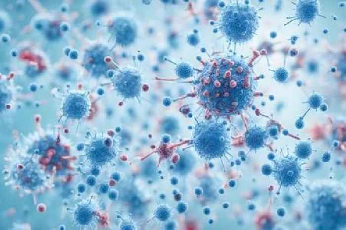 All you need to know about new Covid strain 'Nimbus' as doctors issue UK warning