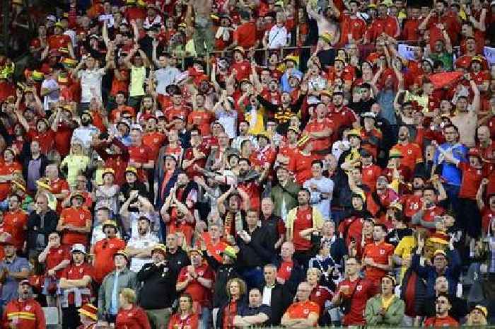 Wales fan falls from upper tier of stadium during Belgium match