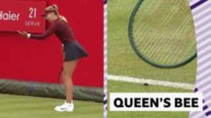 Bee lands on Boulter's wristband at Queen's