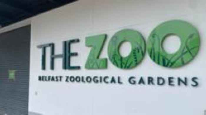Why is Belfast Zoo closed?
