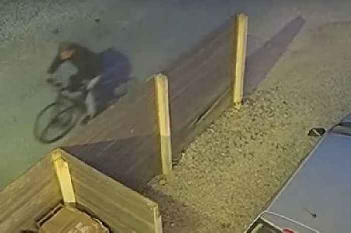CCTV footage released after suspected arson in Hull garden