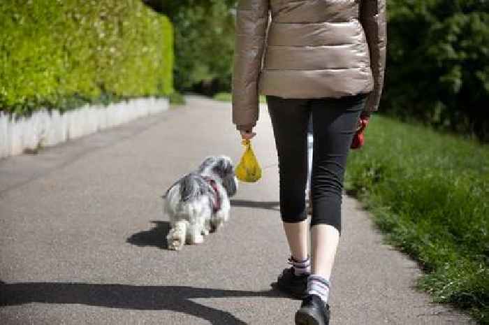 Woman finds creative way to shame lazy dog walkers who fail to pick up poo