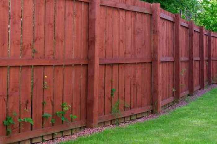 New UK garden fence law 'simplifies' rules but households could still face fines