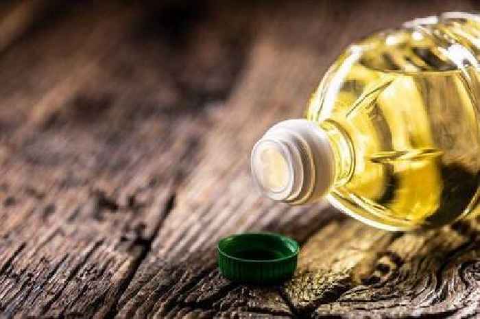 Woman's 65p 'genius' hack will clean up cooking oil spills in minutes