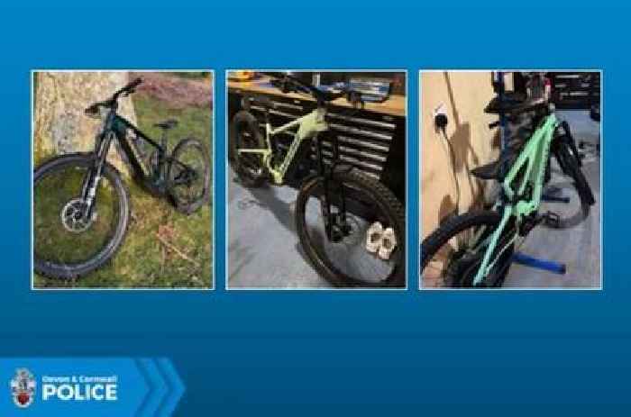E-bikes worth £20,000 stolen from garage in early morning Dartmoor theft