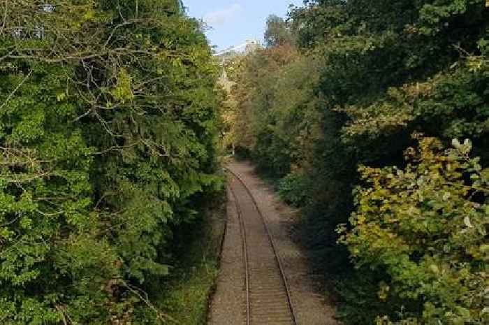 Portishead Railway remains in limbo after no mention in spending review