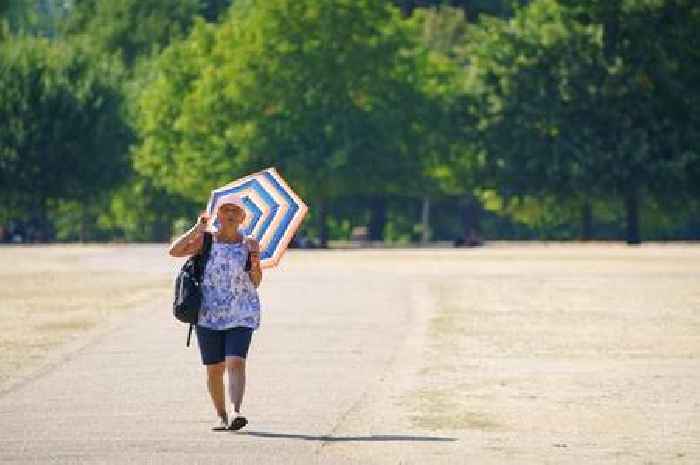60-hour heat health alert issued for Essex as 30C forecast