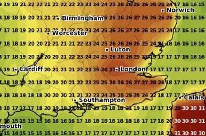 Surrey warned of serious health risks as first heat alert issued for 2025