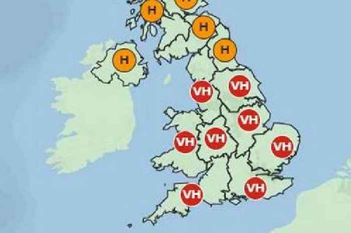 Met Office explains 5 things hay fever sufferers should avoid during pollen alert