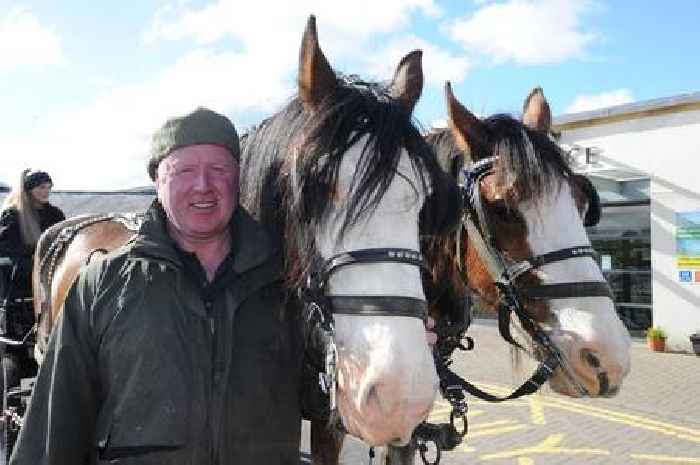 New tourism offering could feature shepherd's hut and 'sitootery' on Cumnock farm