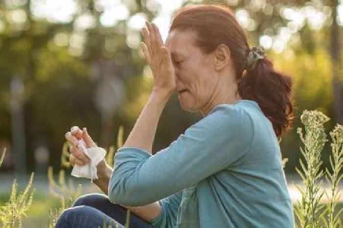 Three things to avoid if you have hay fever as Met Office warns of high pollen levels