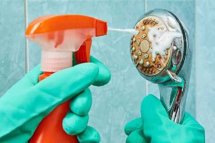 Clean away shower head limescale in half an hour with 1 natural common ingredient