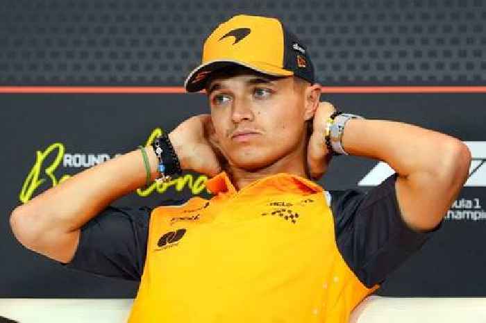 'Quickest F1 driver' Lando Norris told 'silly mistakes' harming his Oscar Piastri chase