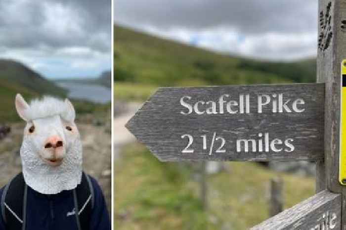 Boy, 13, from East Yorkshire scales England’s highest mountain wearing a llama mask