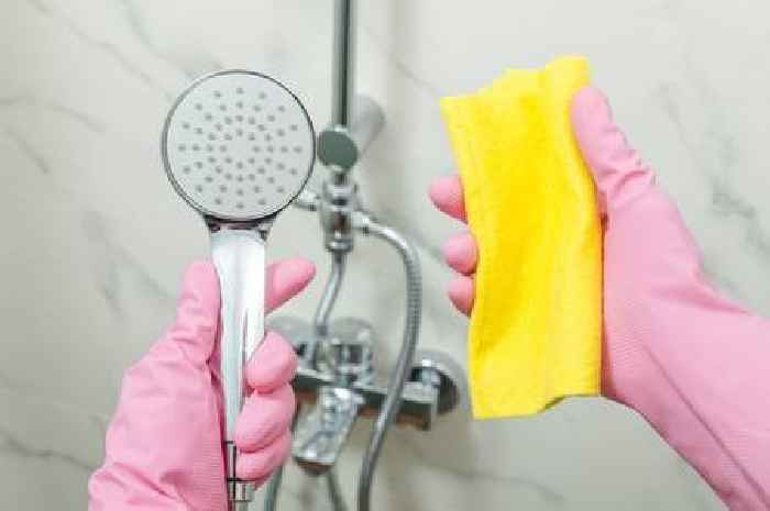 Shower head limescale will disappear in 30 minutes with 'holy grail' ingredient