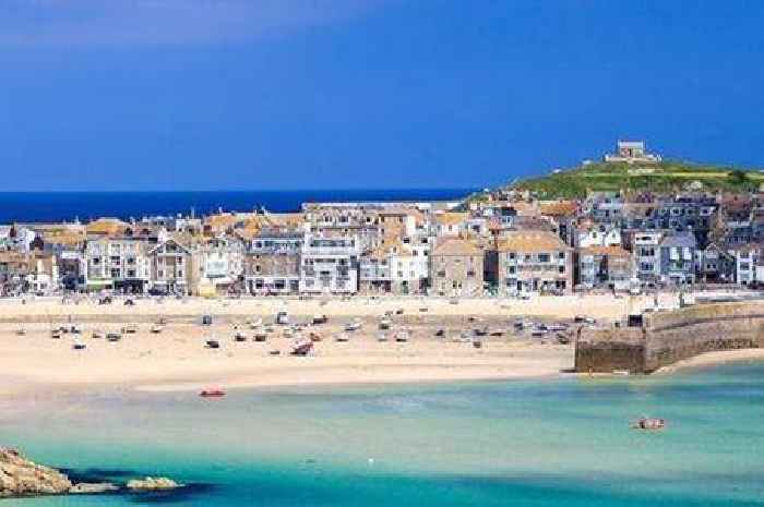 UK beach is 'gorgeous' with a 'classic crescent of golden sand' and even has palm trees