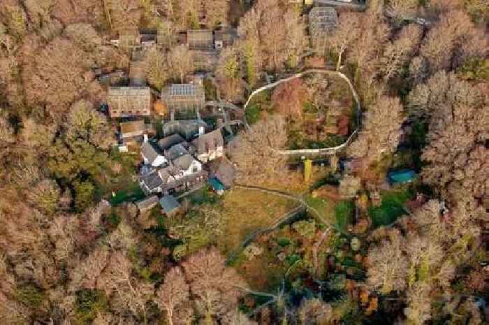 Monkey sanctuary in Cornwall to be put up for sale