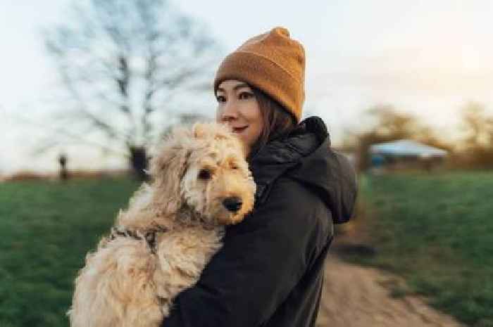 Dog expert warns of 'worrying' behaviour owners often mistake for excitement