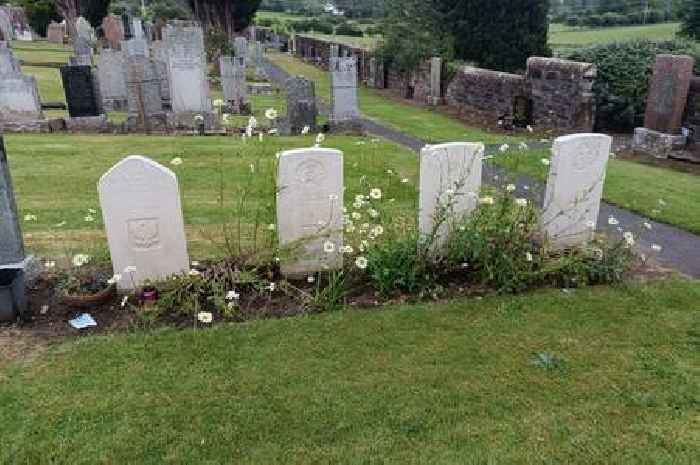 Commonwealth war graves in Ayrshire tidied up by volunteer