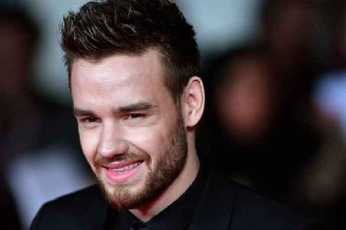 Liam Payne's Netflix show releases trailer in late One Direction star's last project