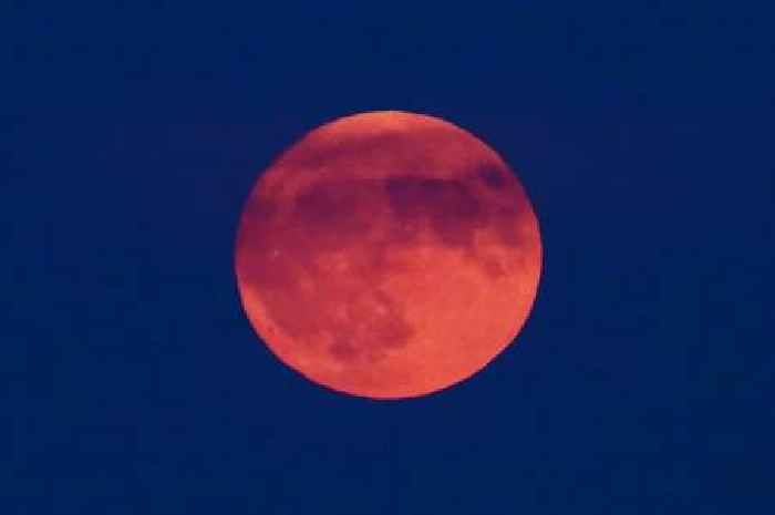 Strawberry Moon in pictures as spectacle lights up Scottish skies for last time until 2043