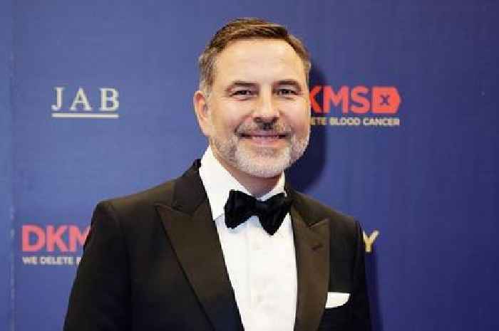 David Walliams ‘gave Nazi salutes while recording BBC’s Would I Lie To You?’