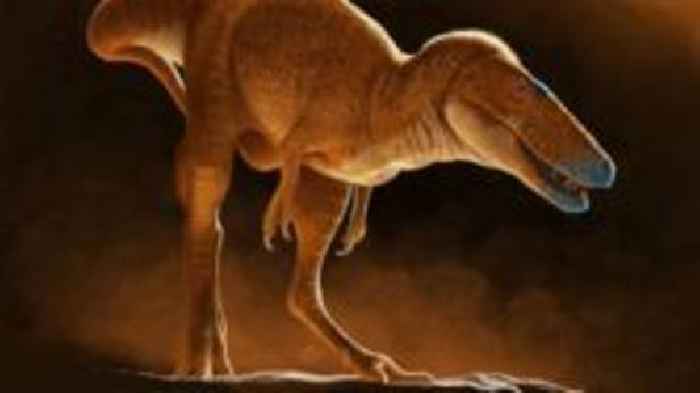 New species of dinosaur discovered that 'rewrites' T.rex family tree