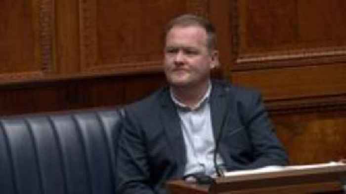 Ulster Unionist MLA to step down after less than a year in job