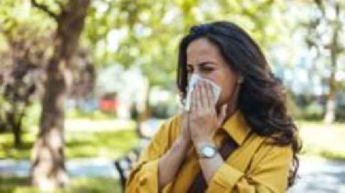 Why is my hay fever so bad this year?