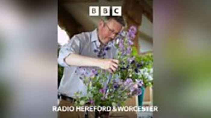 From carnation to coronation to MBE