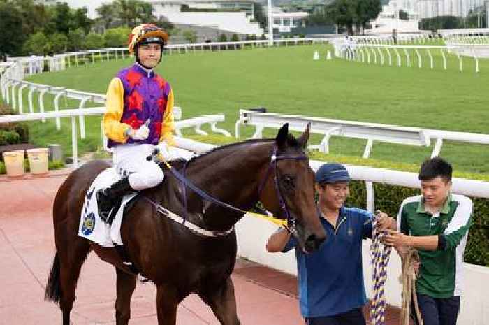 Robot and Joy can Spring Wong into the winners’ circle