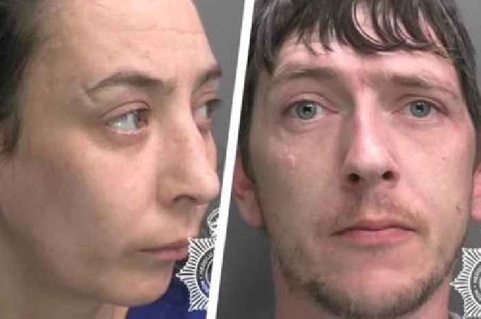 Toddler suffers 'truly breathtaking' injuries in savage dog attack
