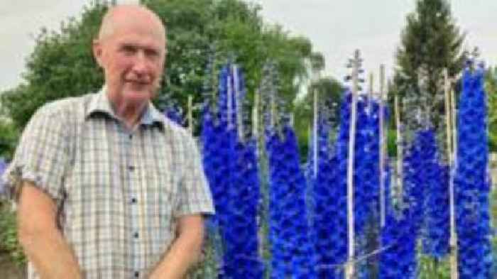 'I planted the UK's largest Delphinium garden in my wife's memory'