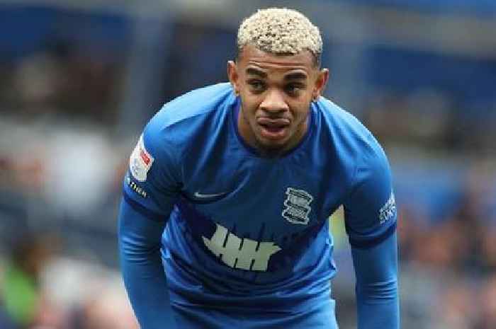 Player Tony Mowbray dubbed 'brilliant' at Birmingham City suffers another relegation