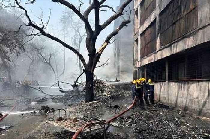 Veteran pilot gives chilling 'mistake' theory over Air India crash