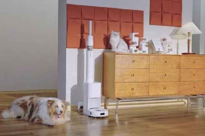 Review: 'I'm in love with a robot vacuum called Tina'