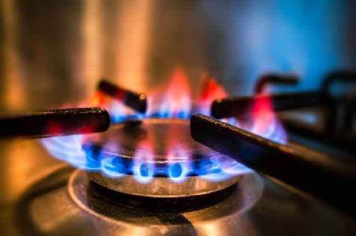 Octopus Energy's new 'Home Mini' gadget to help households monitor energy usage