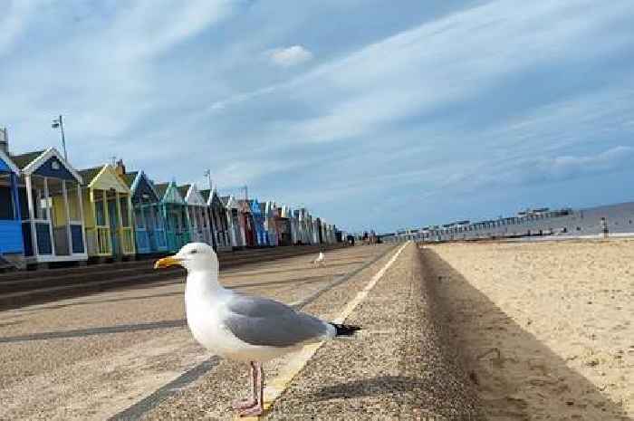 The seaside town two hours from Cambridge with a traditional pier ideal for a day trip