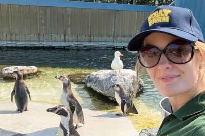 Zookeeper who cares for 42 penguins to represent Wales at international Miss Earth pageant